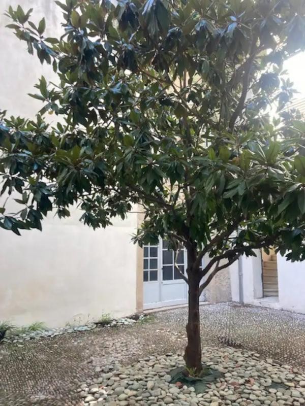 Location Appartement à Pézenas 3 pièces