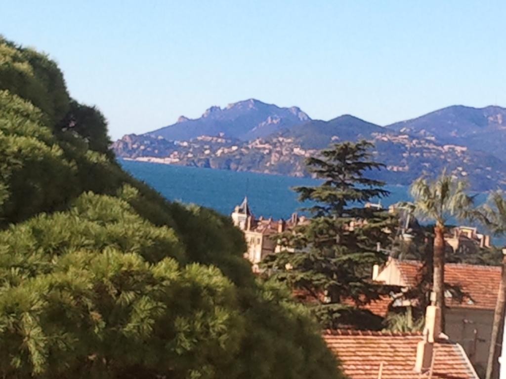 Location Appartement à Cannes 1 pièce