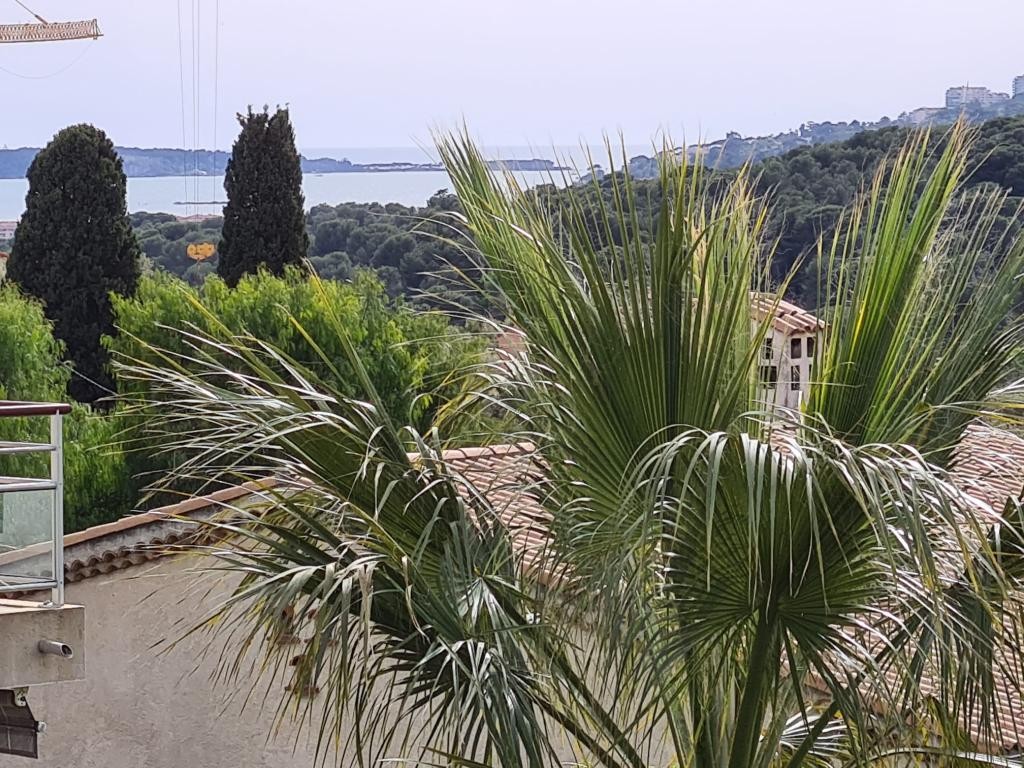 Location Appartement à Antibes 1 pièce