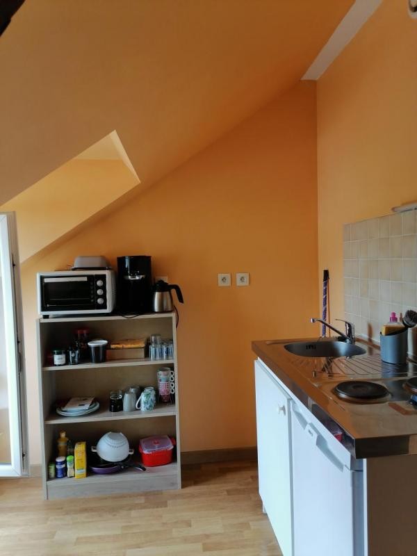 Location Appartement à Saint-Doulchard 1 pièce