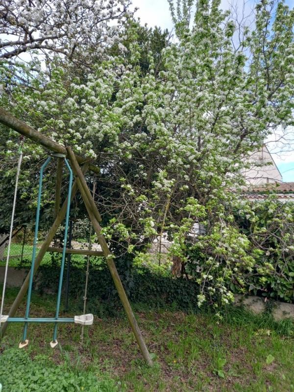 Location Appartement à Carcassonne 1 pièce