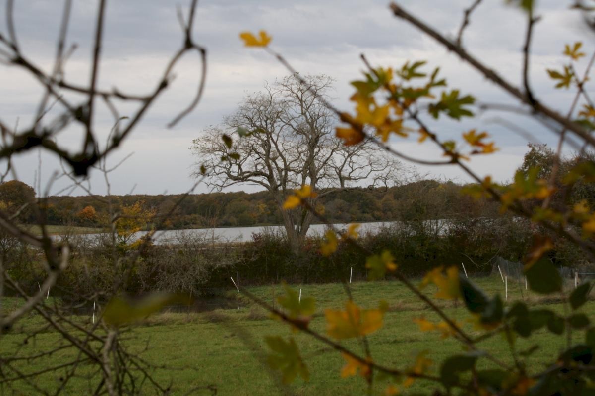 Vente Maison à Bazolles 4 pièces