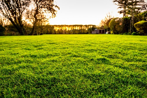 Vente Terrain à Neuilly-en-Thelle 0 pièce