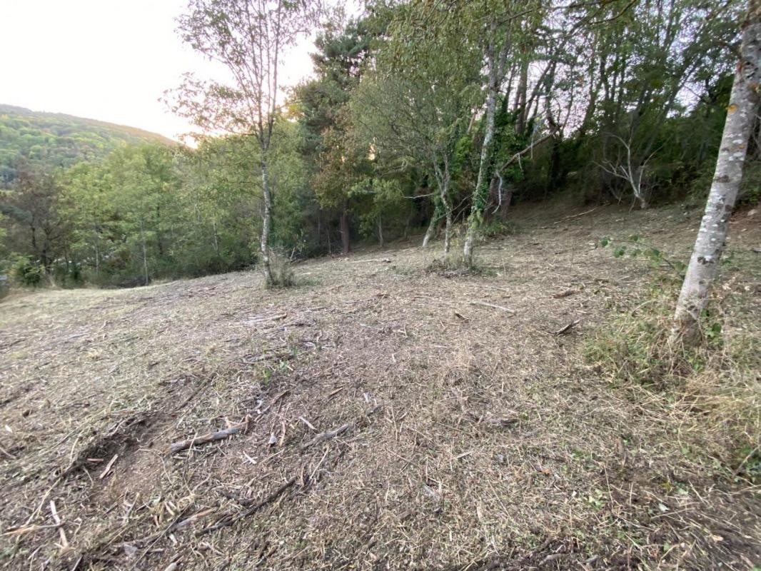 Vente Terrain à Saint-Genès-Champanelle 0 pièce