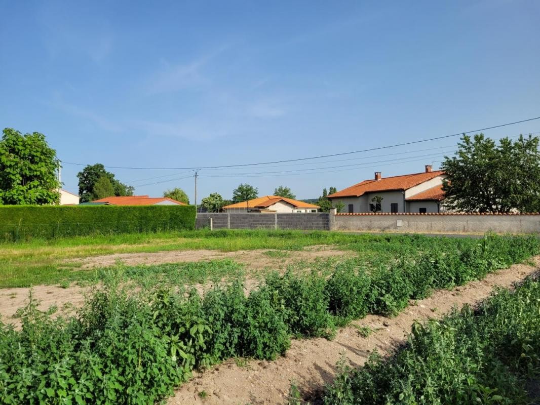 Vente Terrain à Lezoux 0 pièce