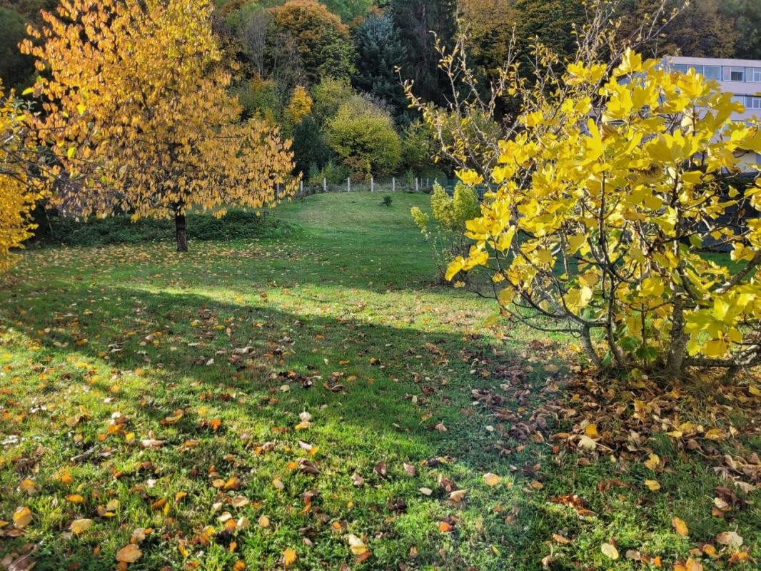 Vente Terrain à Royat 0 pièce