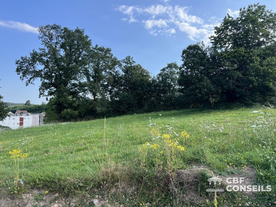 Vente Terrain à Saint-Sernin-du-Bois 0 pièce