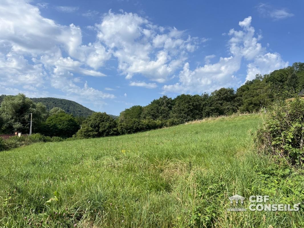 Vente Terrain à Saint-Sernin-du-Bois 0 pièce