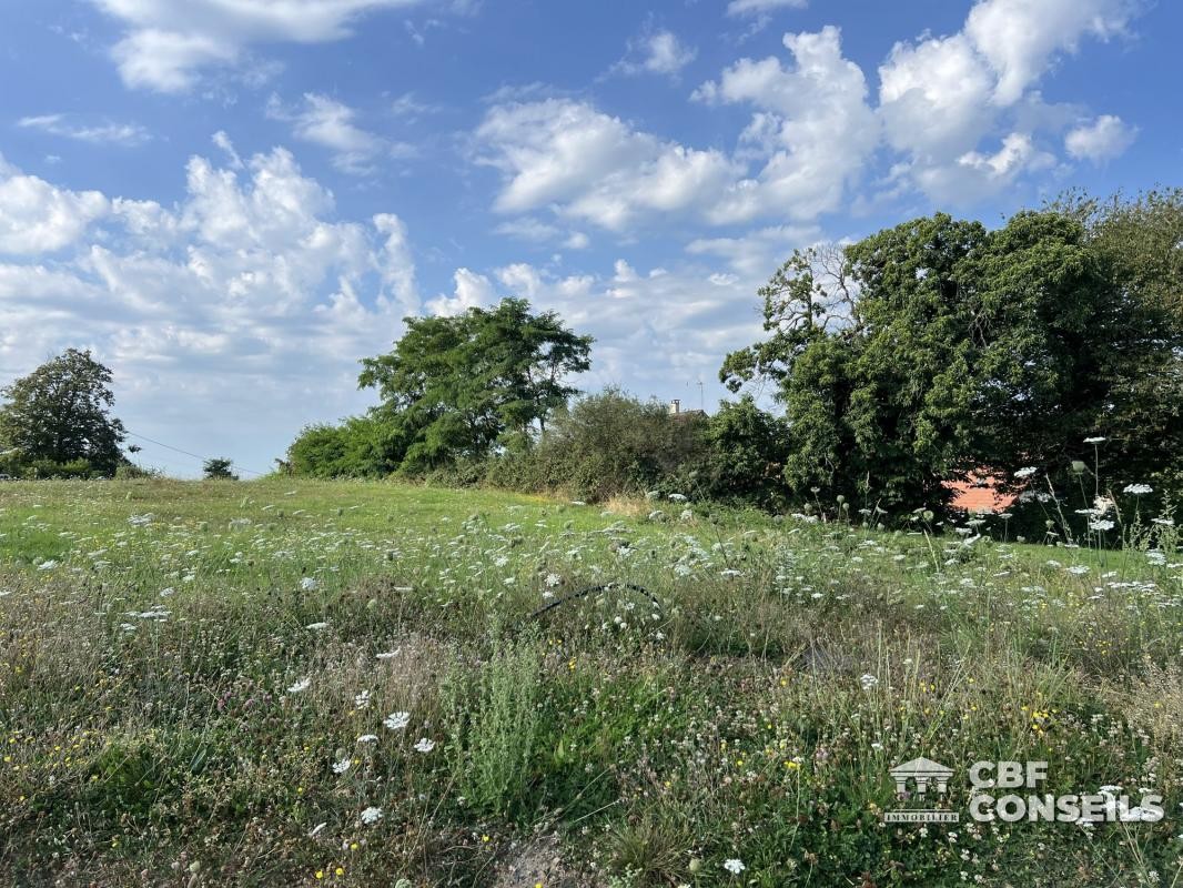 Vente Terrain à Saint-Sernin-du-Bois 0 pièce