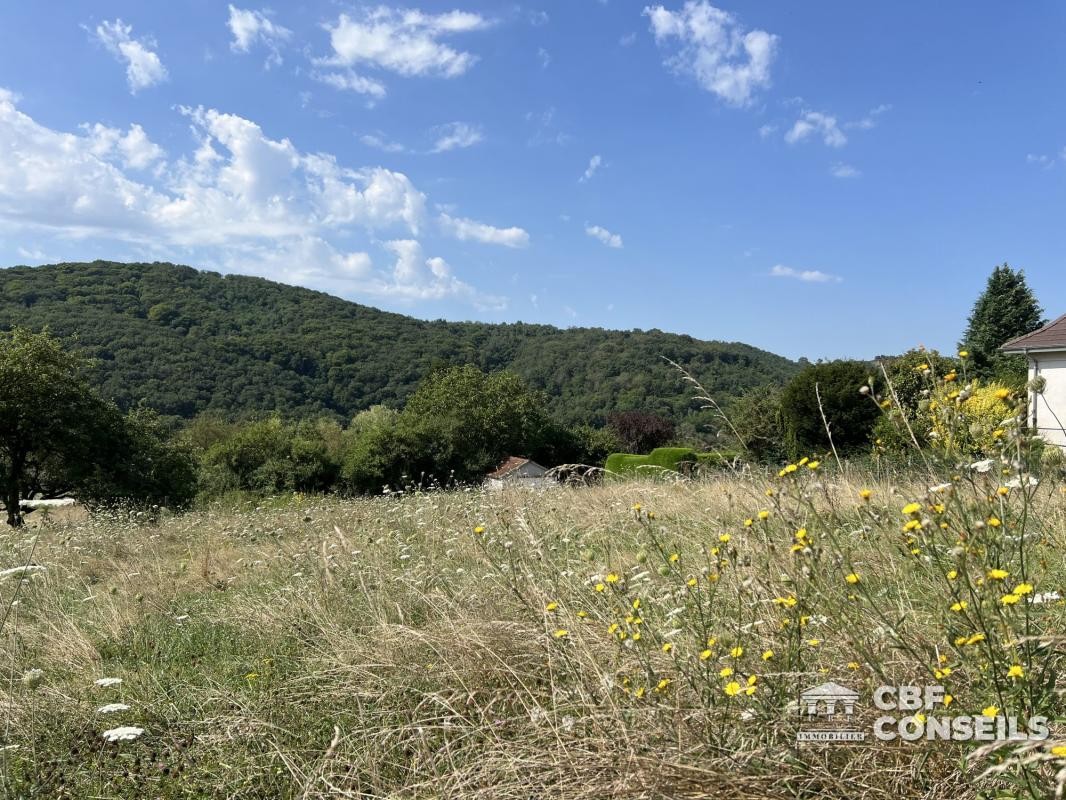 Vente Terrain à Saint-Sernin-du-Bois 0 pièce