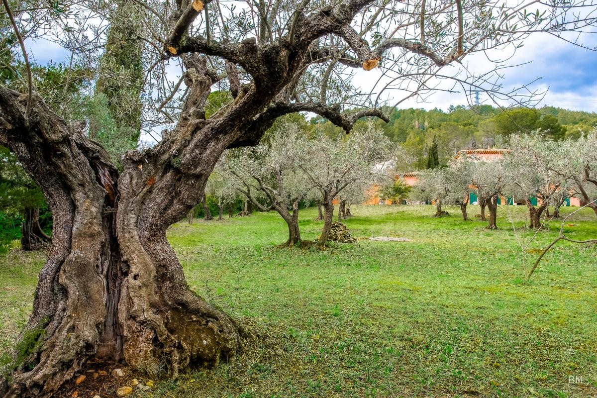 Vente Maison à la Motte 5 pièces