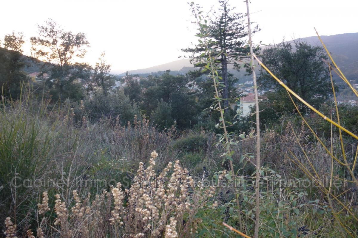 Vente Terrain à Amélie-les-Bains-Palalda 0 pièce