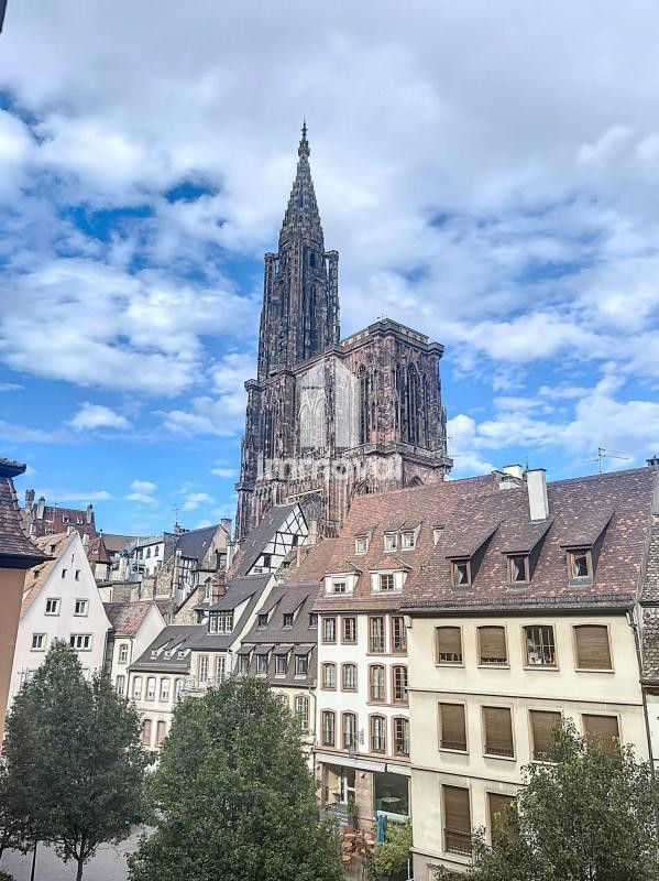 Location Appartement à Strasbourg 0 pièce