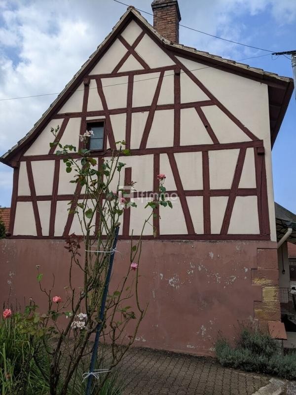 Vente Maison à Gœrsdorf 10 pièces