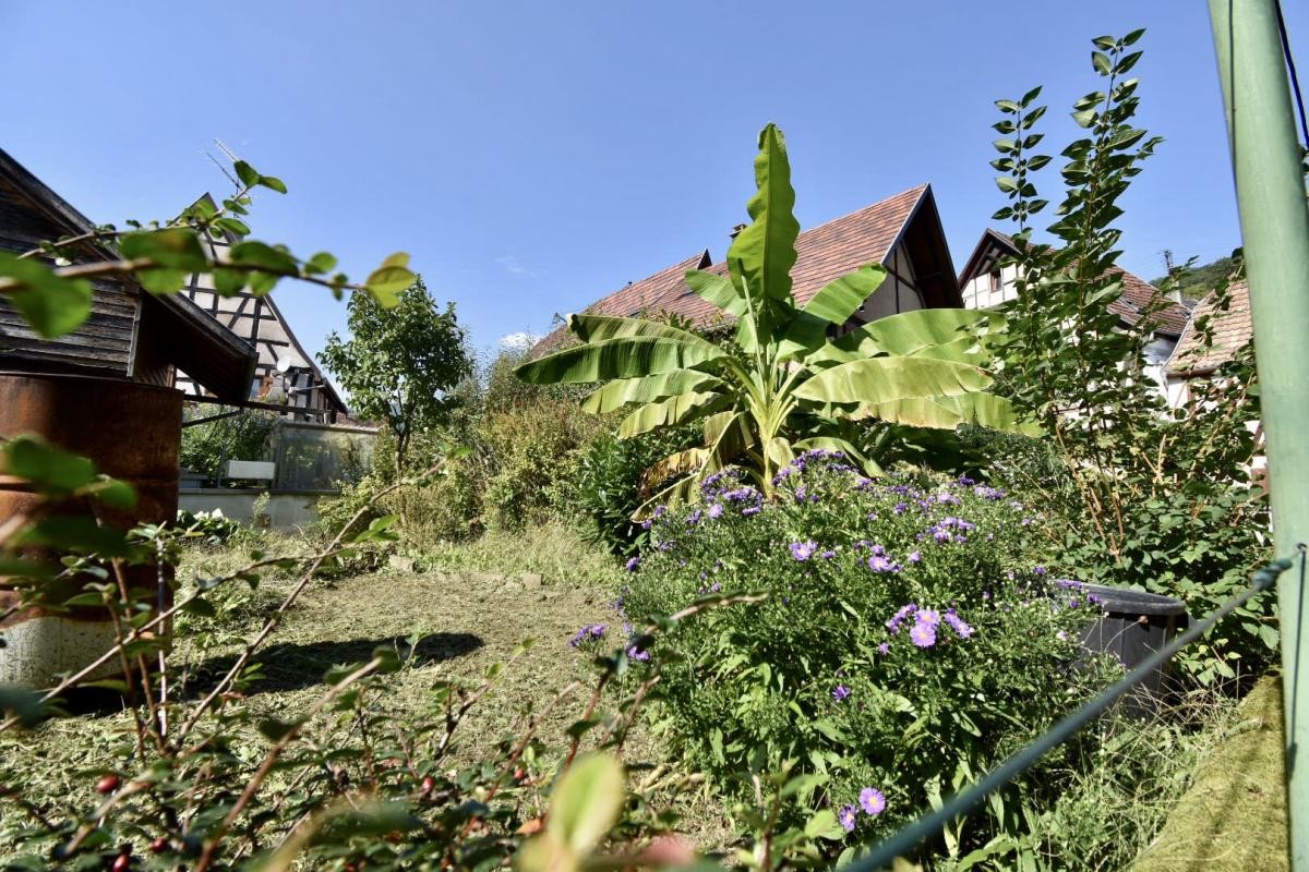 Vente Maison à Andlau 10 pièces