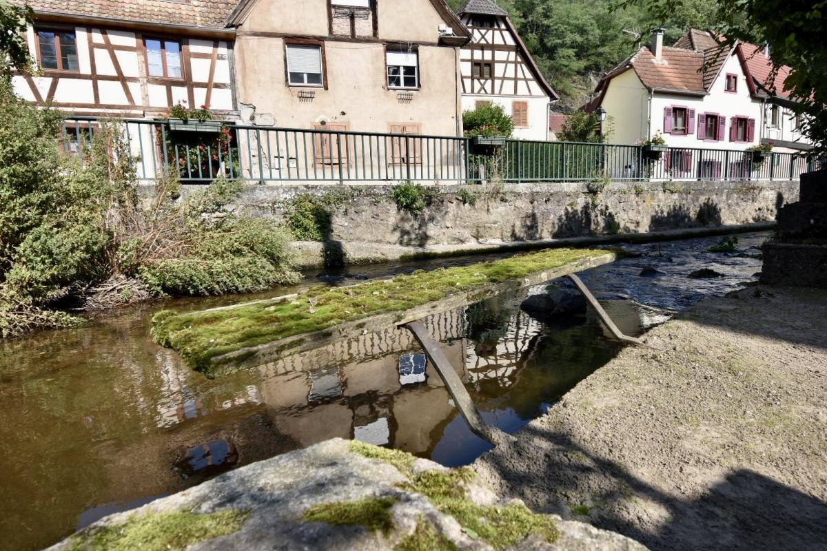 Vente Maison à Andlau 10 pièces