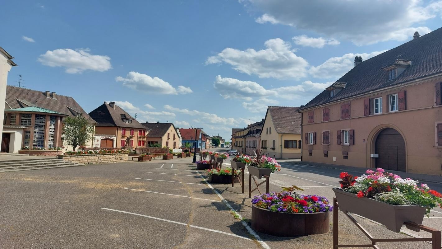 Vente Terrain à Bennwihr 0 pièce