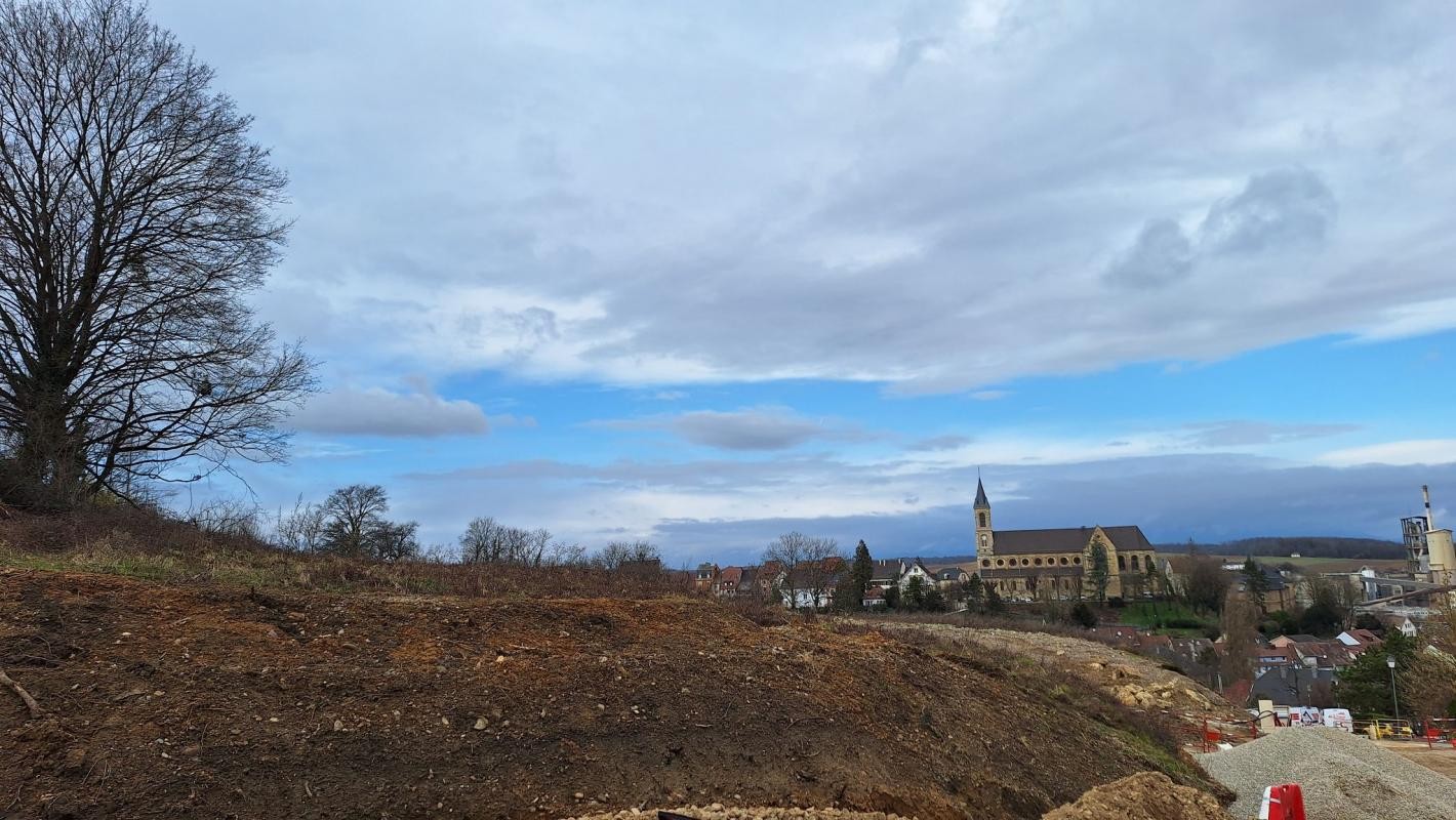 Vente Terrain à Altkirch 0 pièce