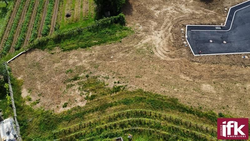 Vente Terrain à Pfaffenheim 0 pièce