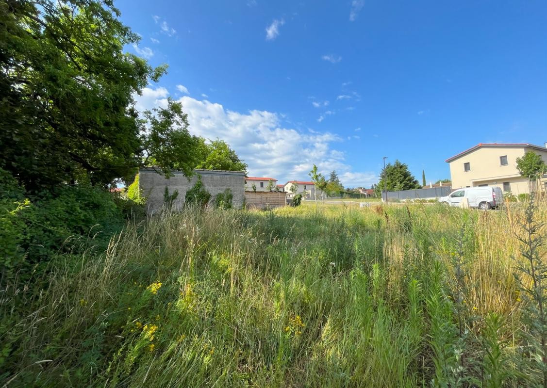 Vente Terrain à Charly 0 pièce