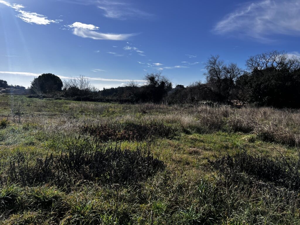 Vente Terrain à Barjac 0 pièce