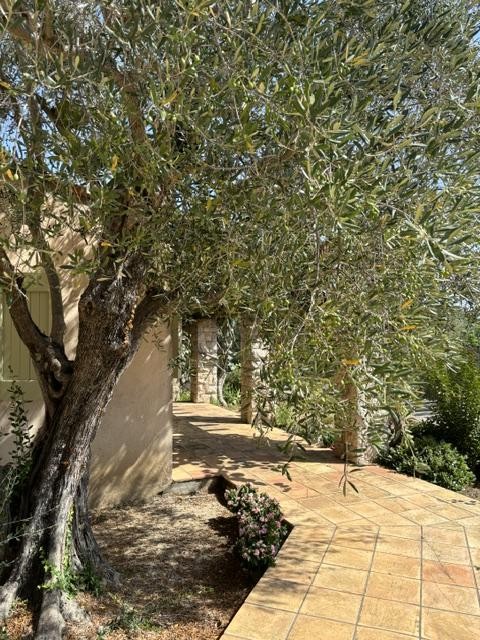 Vente Maison à Mougins 7 pièces