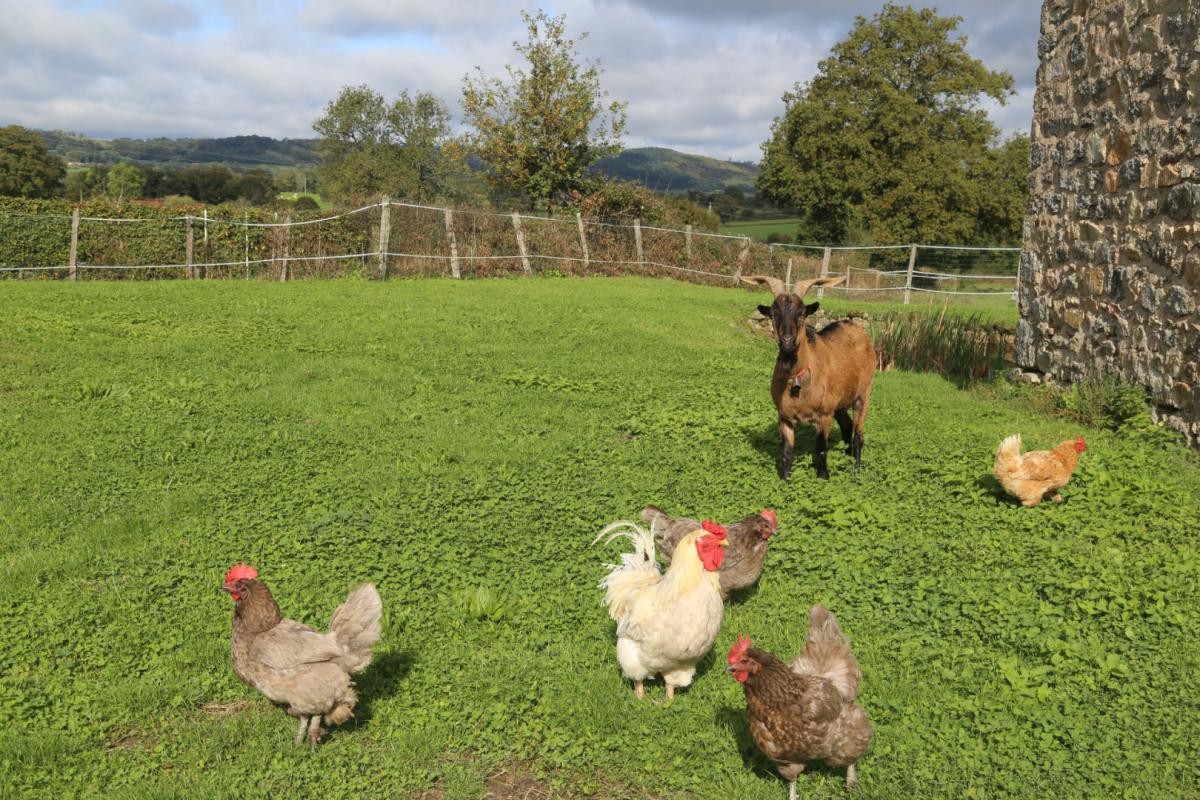 Vente Maison à Charbonnat 4 pièces