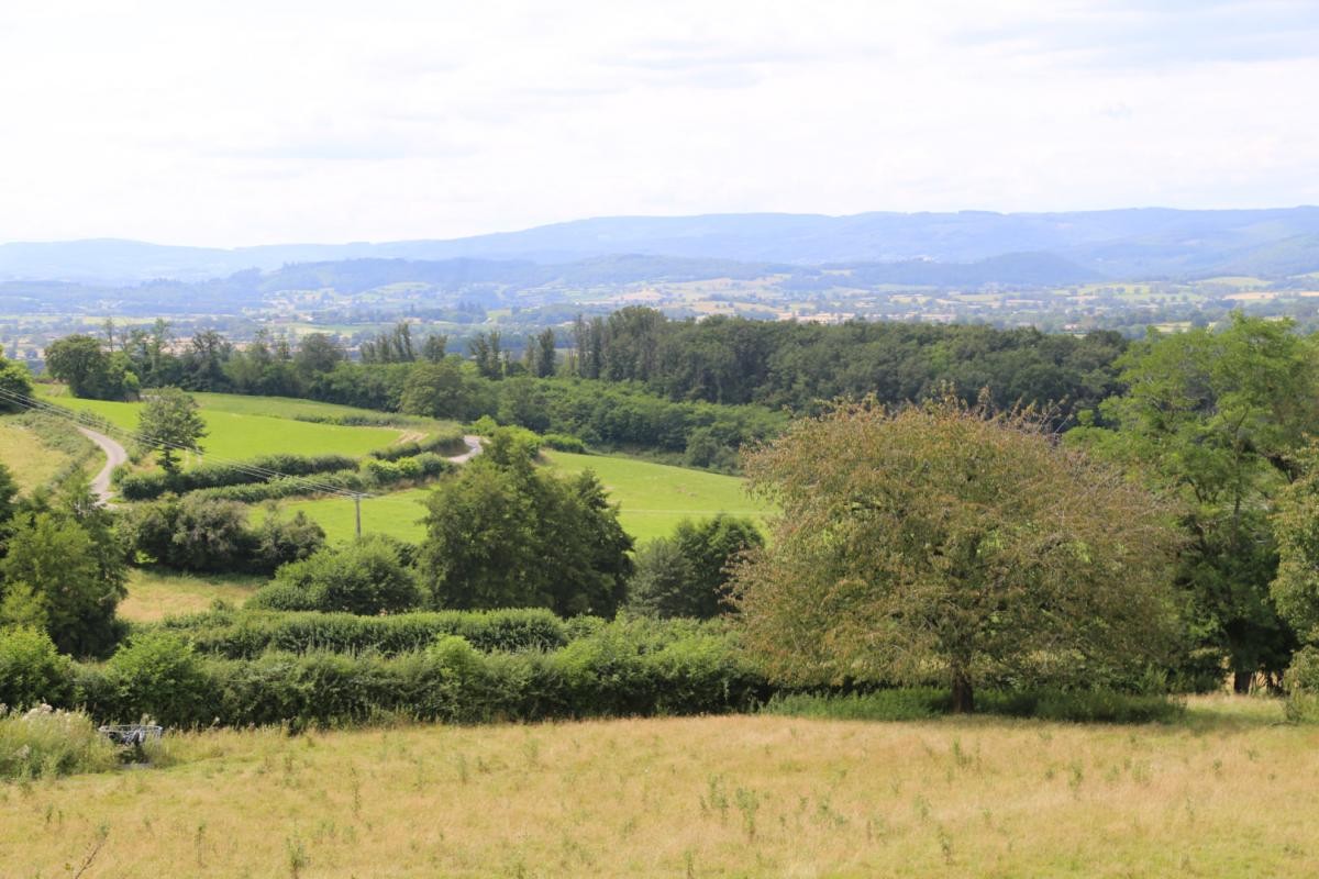 Vente Maison à Autun 19 pièces