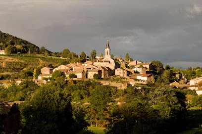 Vente Terrain à la Roche-Vineuse 0 pièce