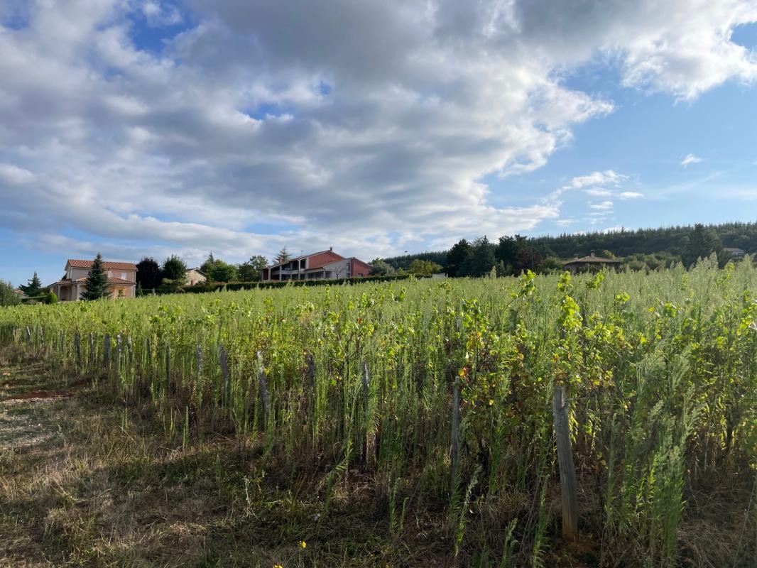 Construction Maison à Chevagny-les-Chevrières 5 pièces