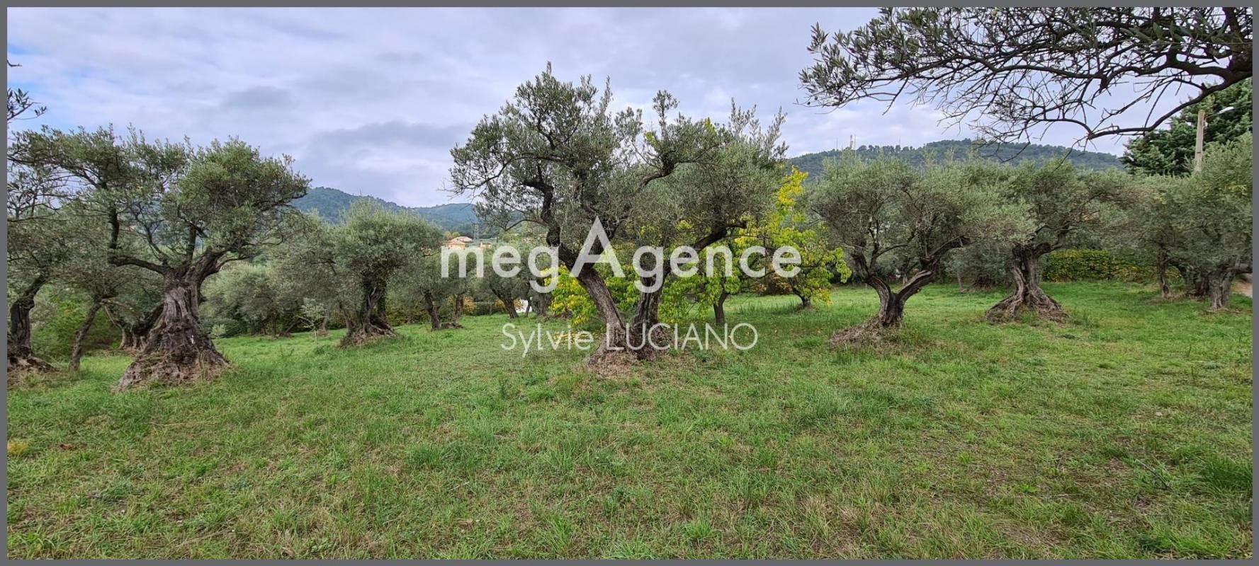 Vente Terrain à Manosque 0 pièce