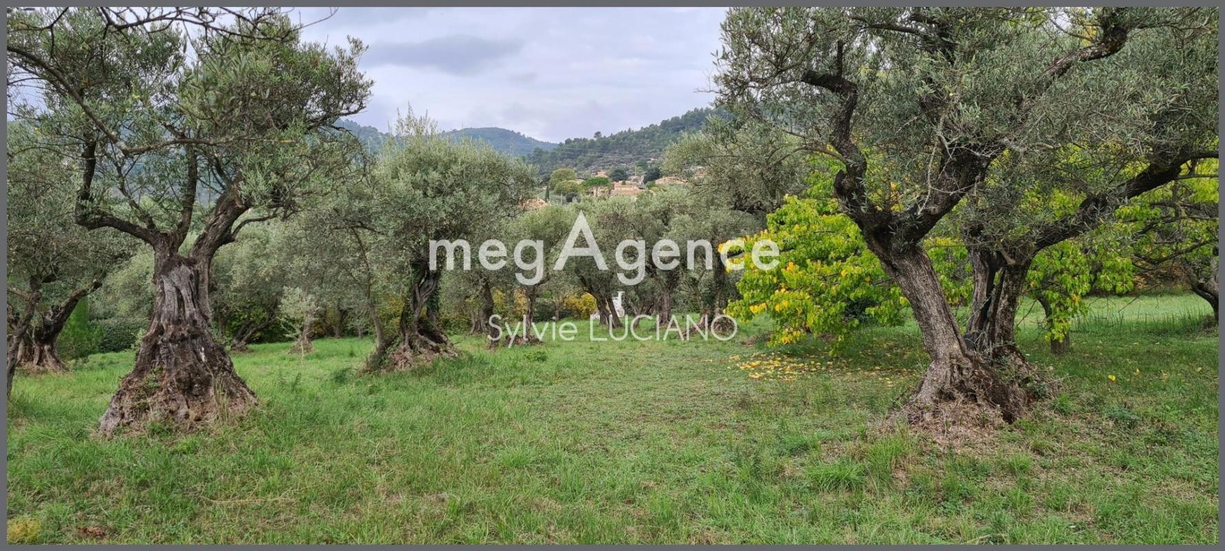 Vente Terrain à Manosque 0 pièce