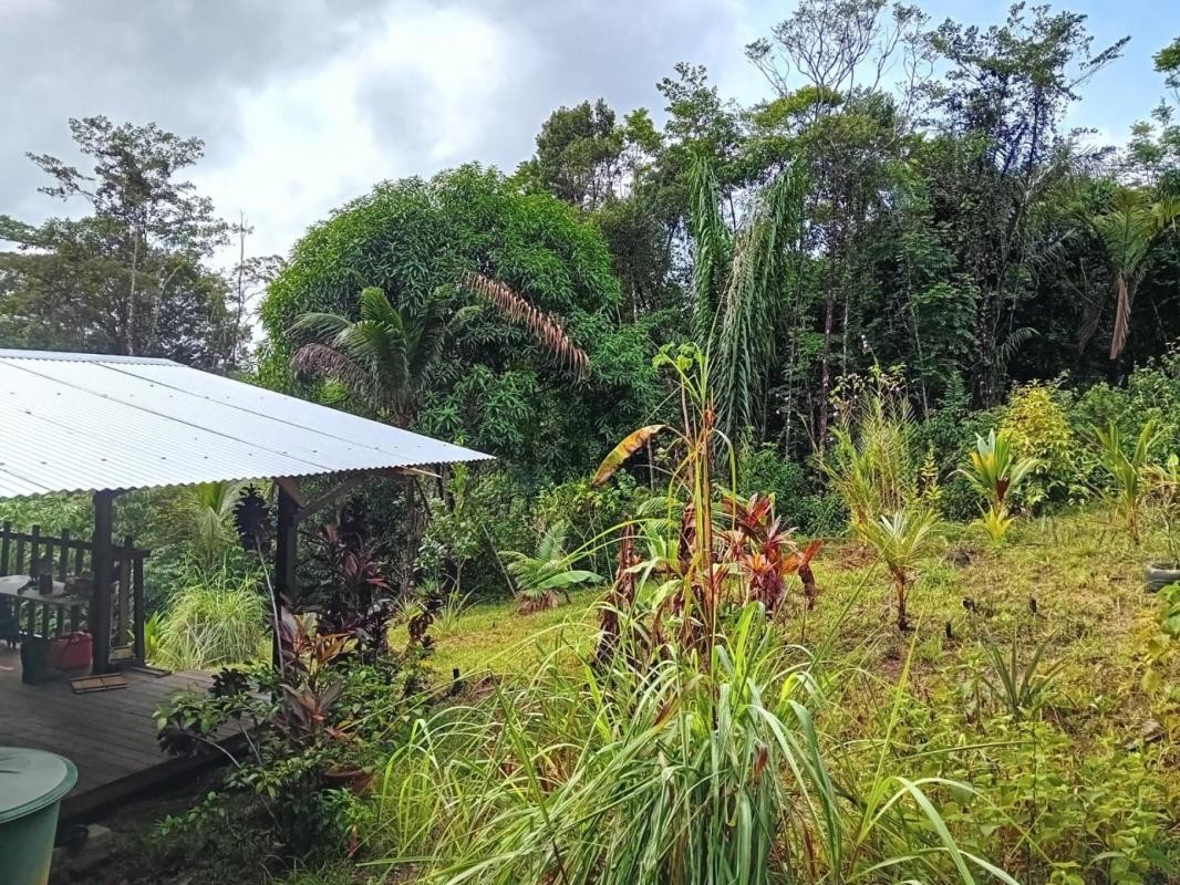 Vente Terrain à Roura 0 pièce