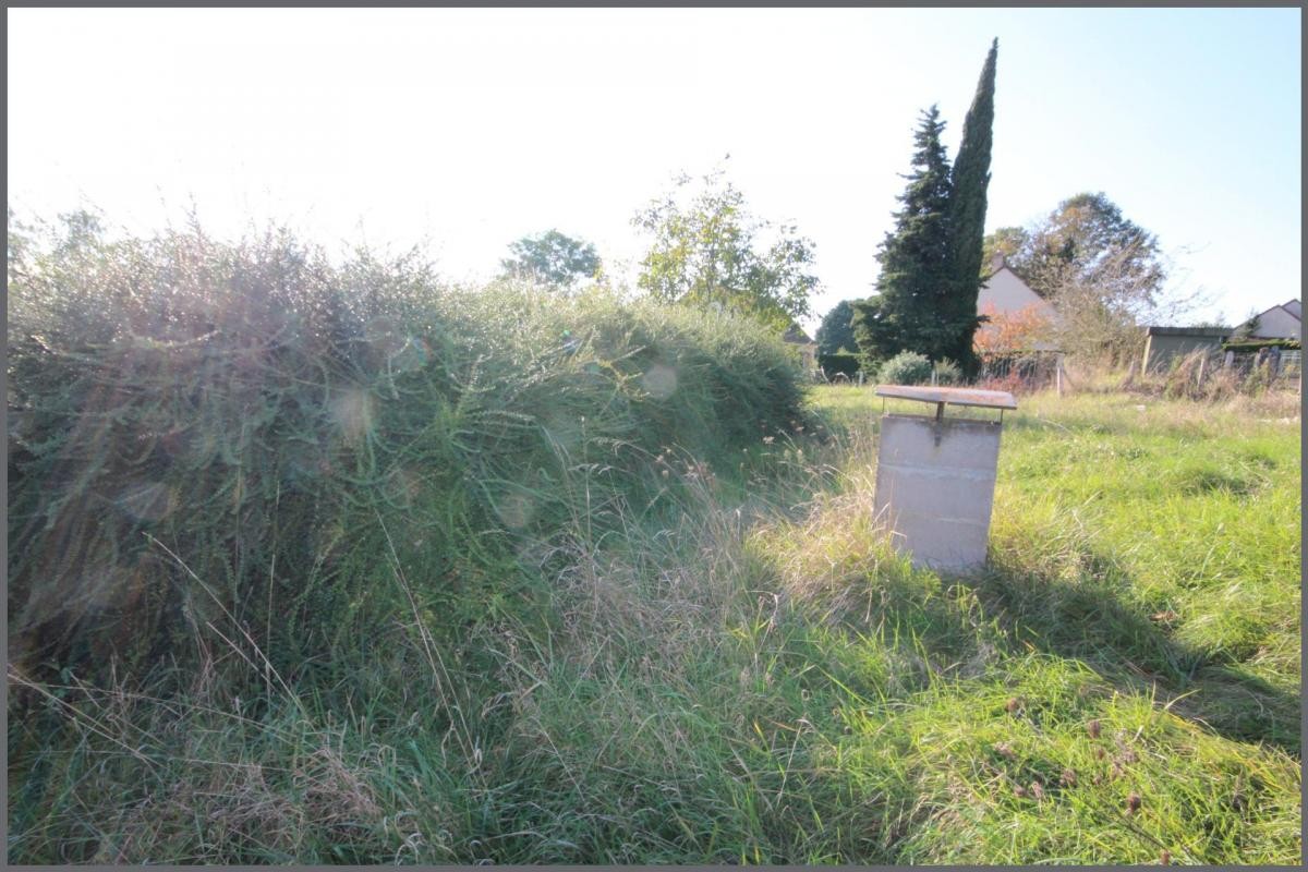 Vente Terrain à Aubigné-Racan 0 pièce