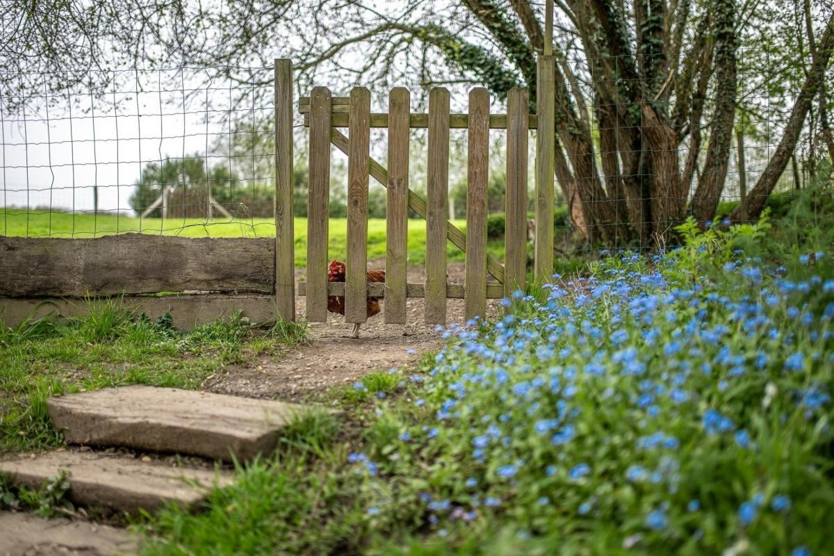 Vente Maison à Saint-Brice-en-Coglès 3 pièces