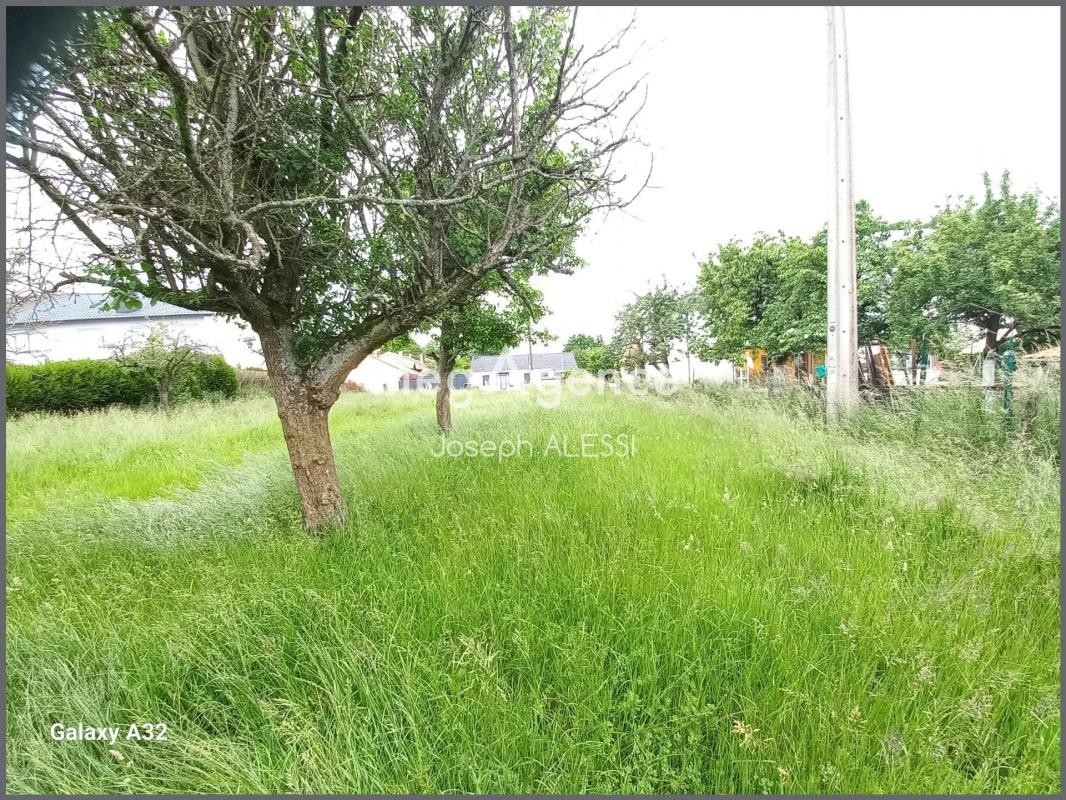 Vente Terrain à Sainte-Barbe 0 pièce