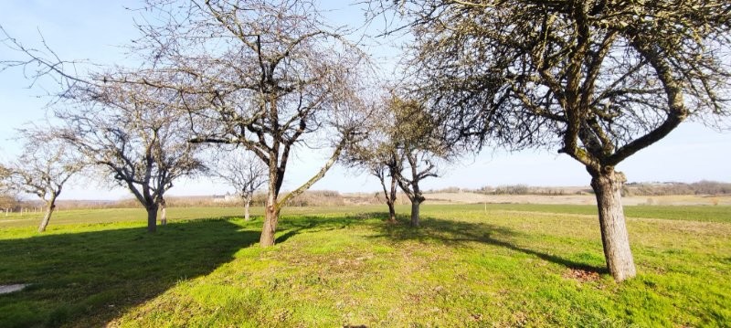 Vente Maison à Luçay-le-Mâle 5 pièces