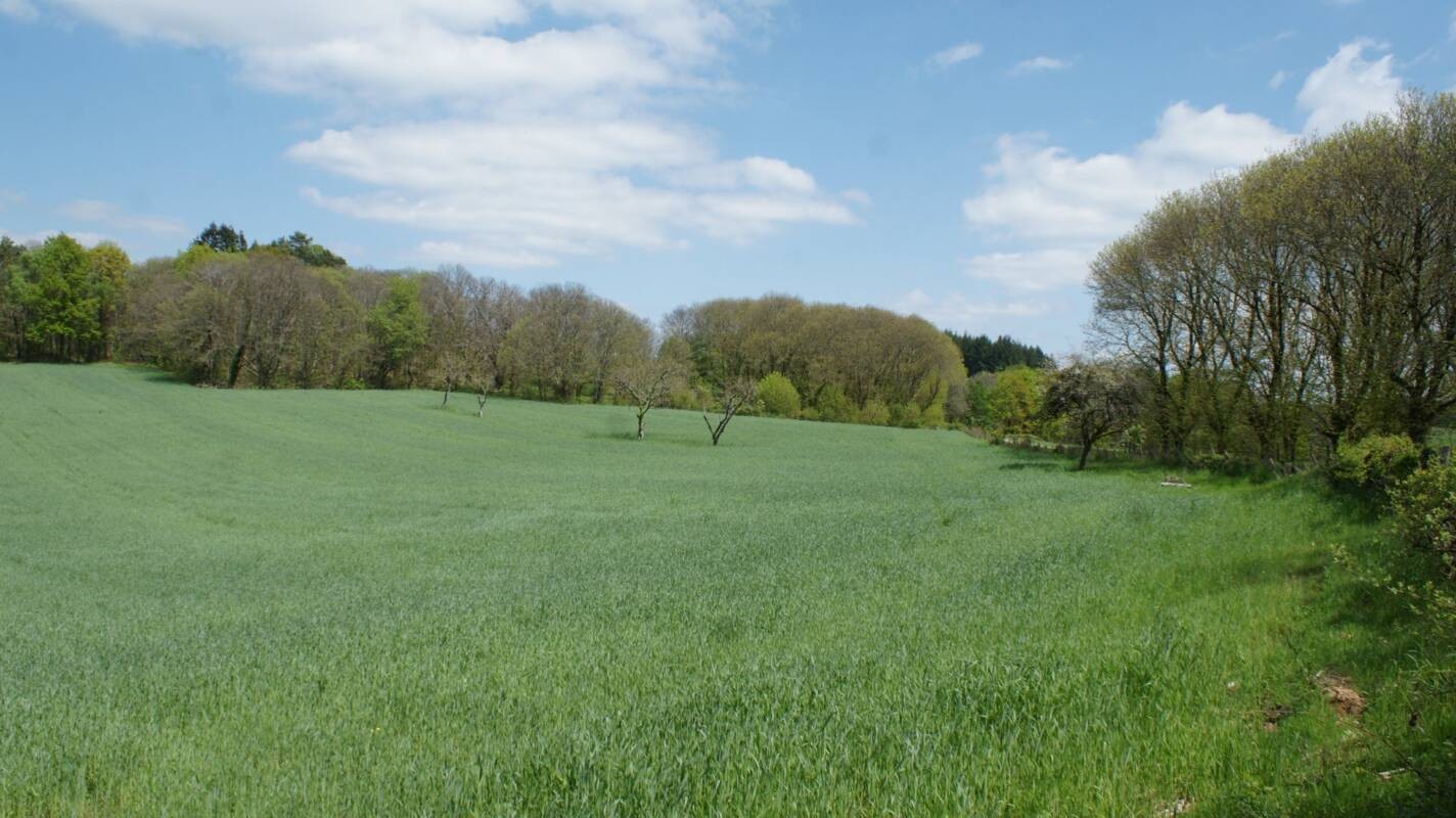 Vente Terrain à Beynat 0 pièce