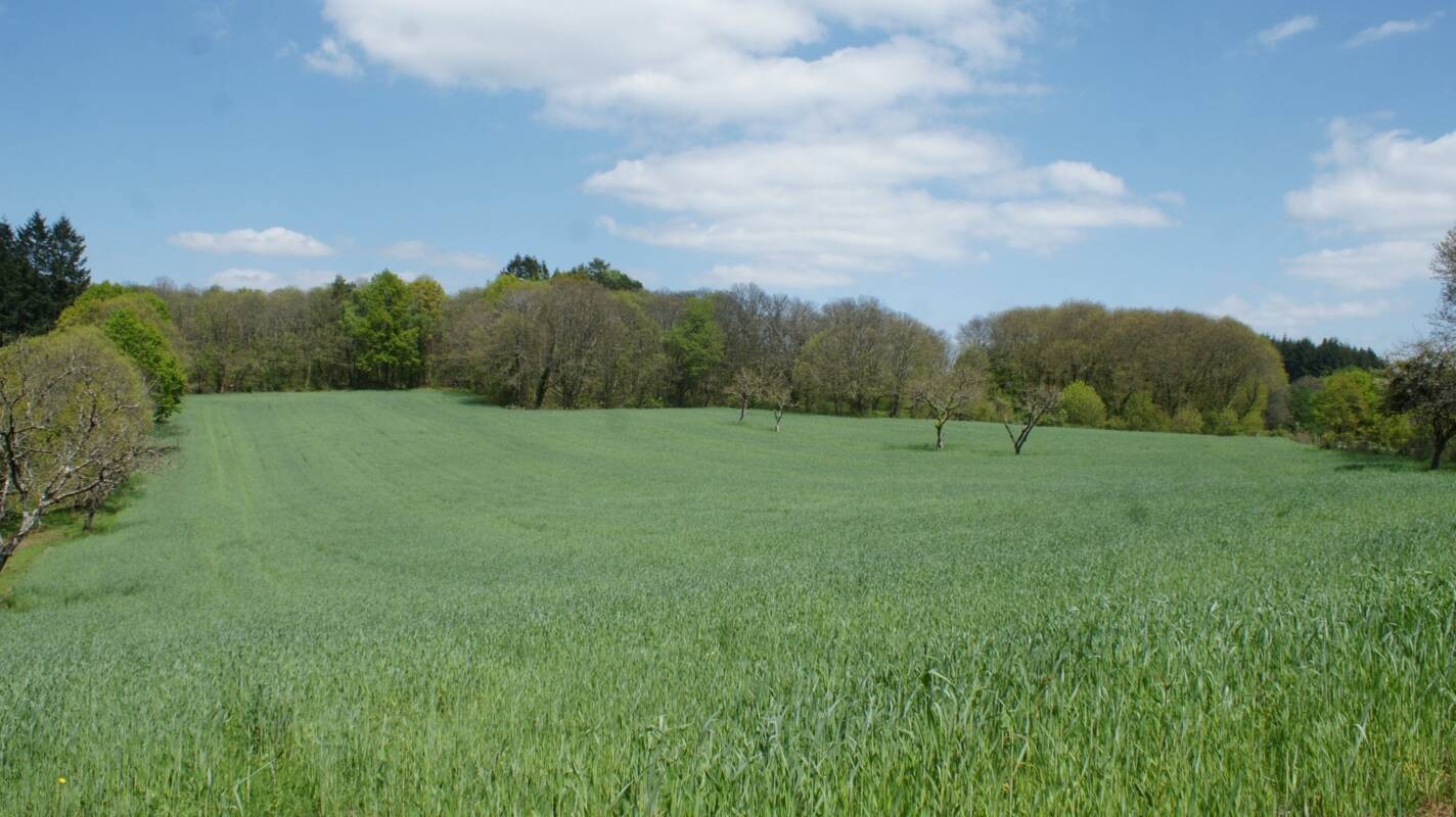 Vente Terrain à Beynat 0 pièce