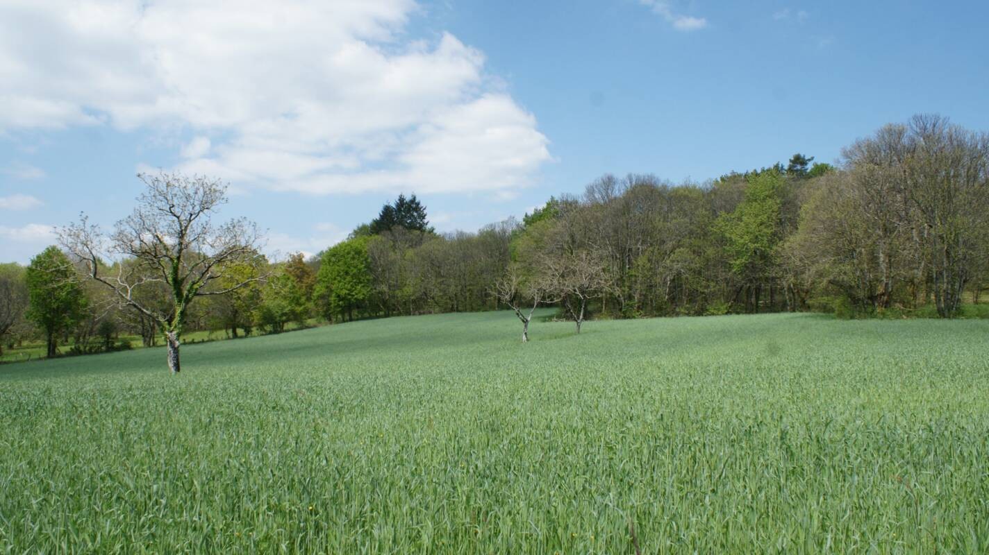 Vente Terrain à Beynat 0 pièce