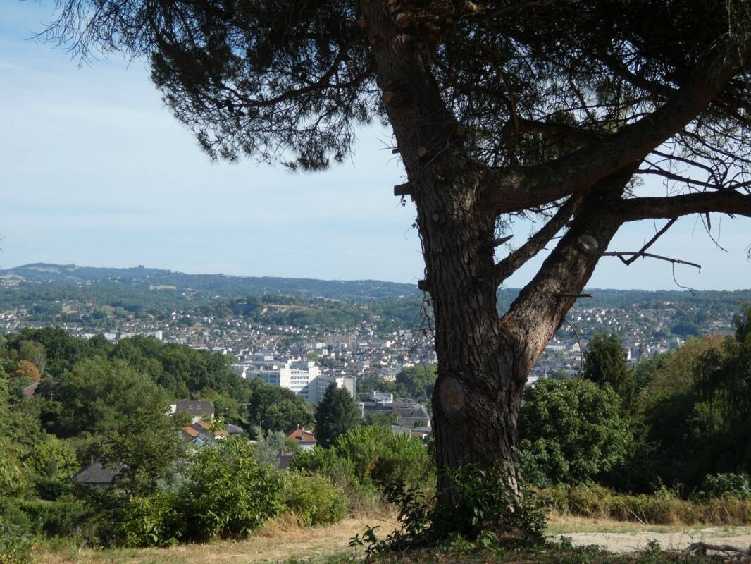 Vente Terrain à Brive-la-Gaillarde 0 pièce