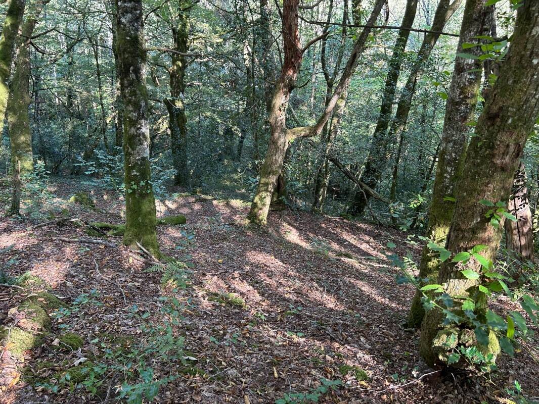 Vente Maison à Arnac-Pompadour 4 pièces