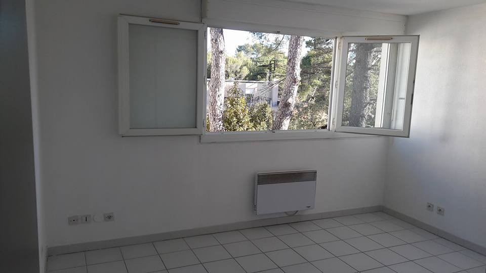 Location Appartement à Montpellier 1 pièce