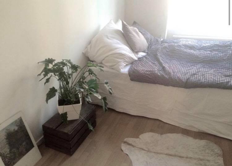 Location Appartement à Montpellier 2 pièces