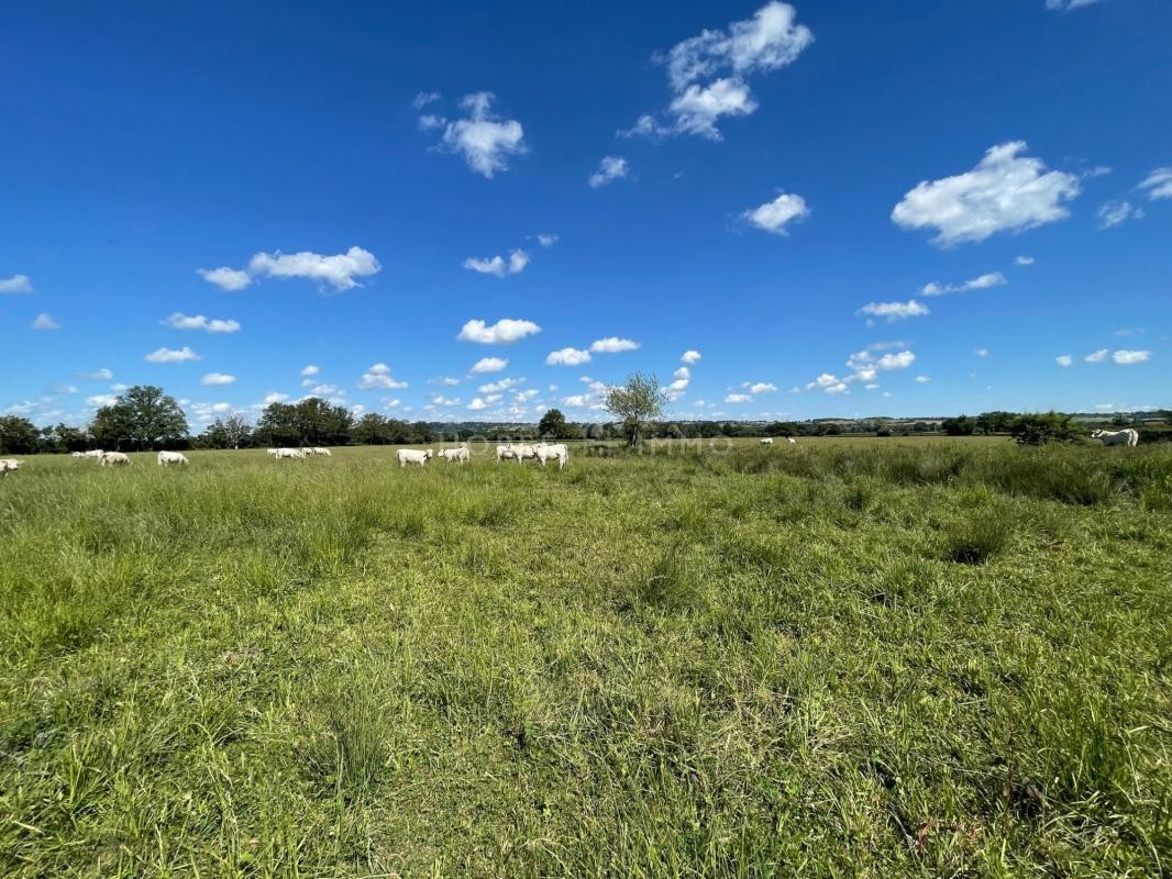 Vente Terrain à Bourges 0 pièce