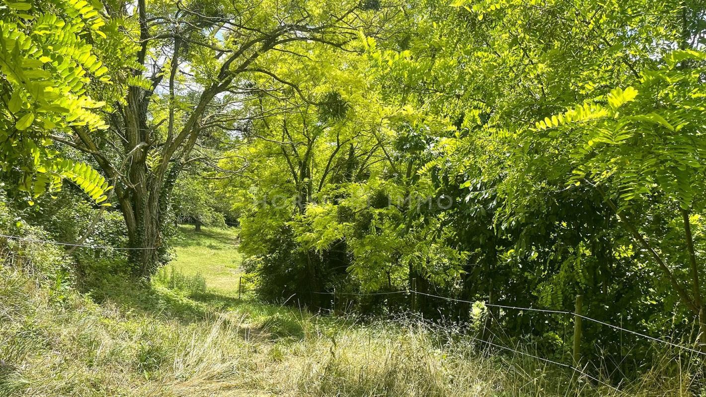 Vente Maison à Romans-sur-Isère 10 pièces