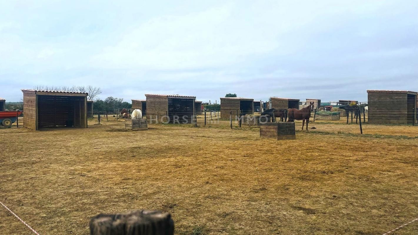 Vente Terrain à Béziers 0 pièce