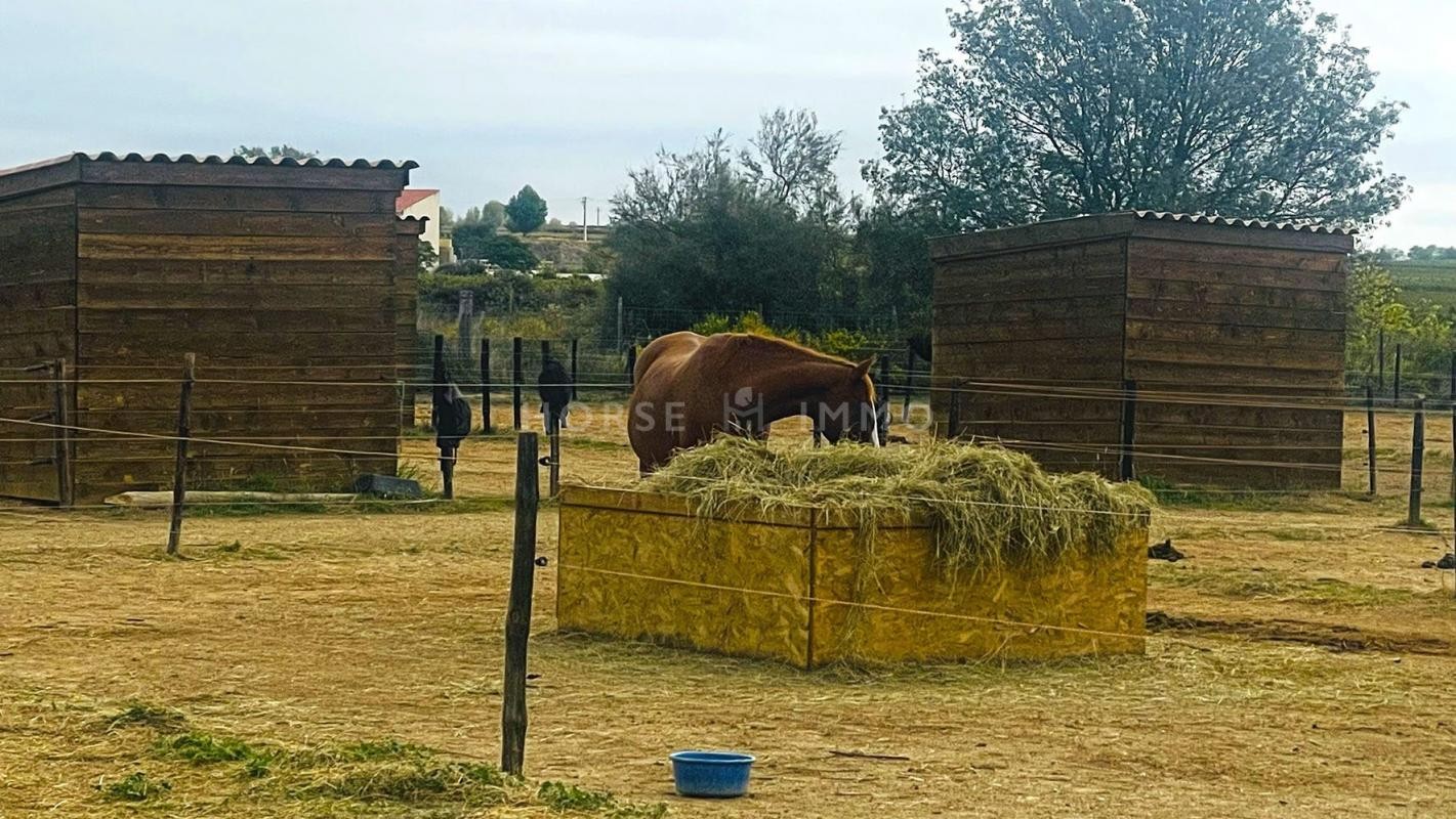 Vente Terrain à Béziers 0 pièce