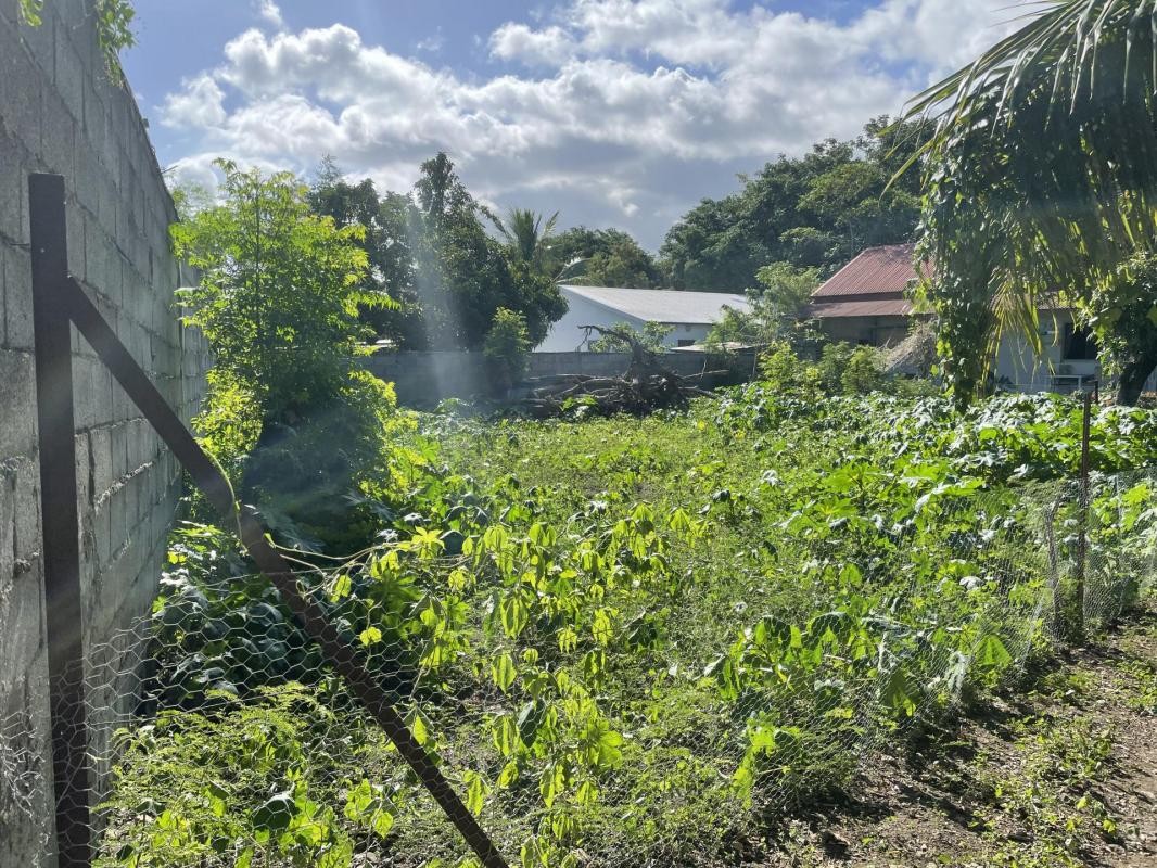 Vente Terrain à Saint-Louis 0 pièce