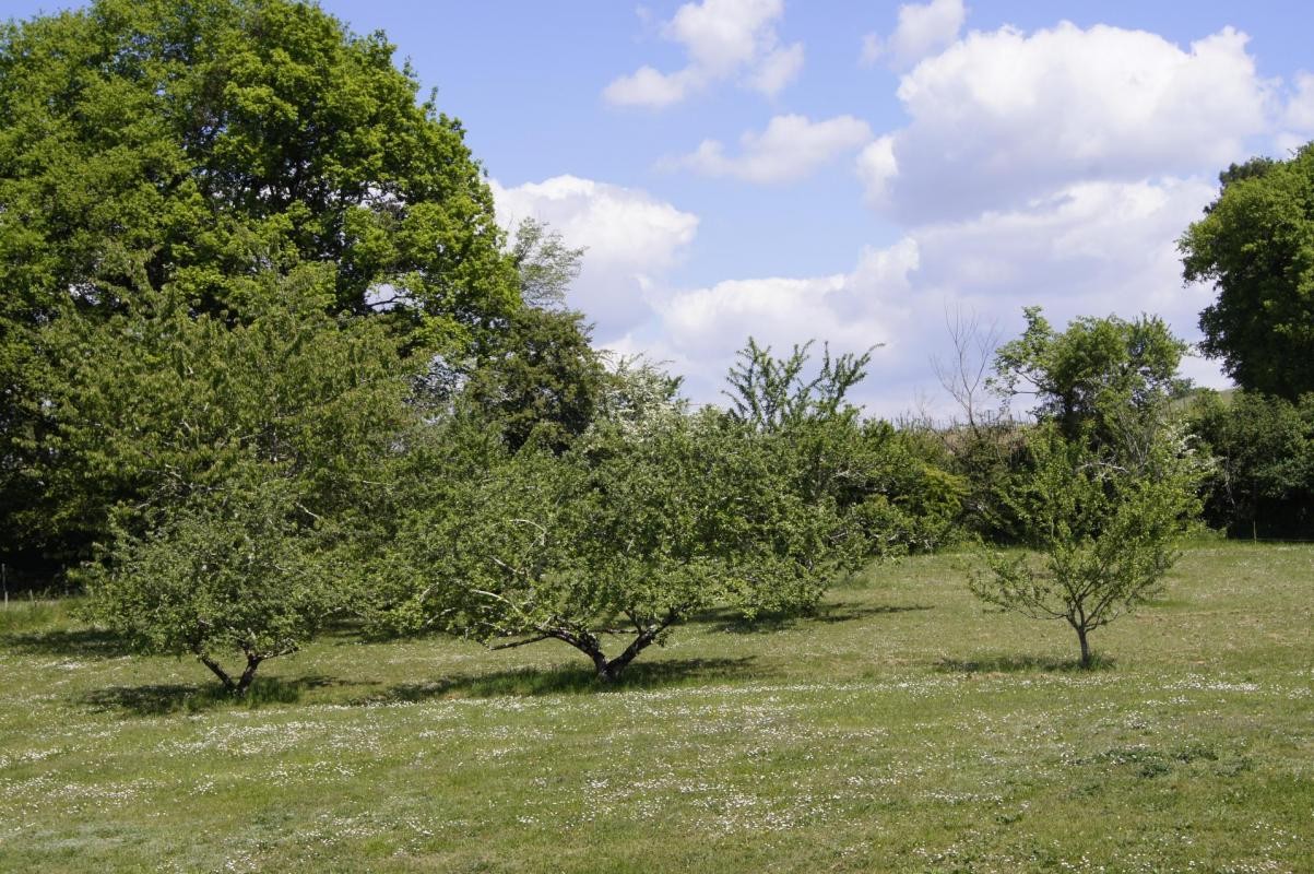 Vente Maison à Croignon 9 pièces